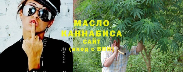apvp Каменка
