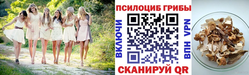 Псилоцибиновые грибы Cubensis Тольятти